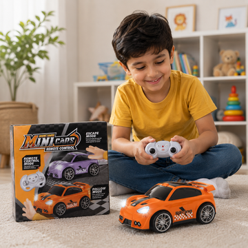 R/C Mini Car
